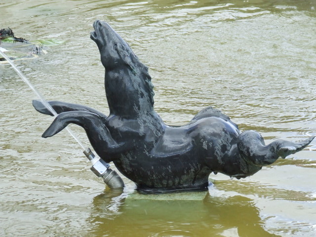 Kelpie water spirit